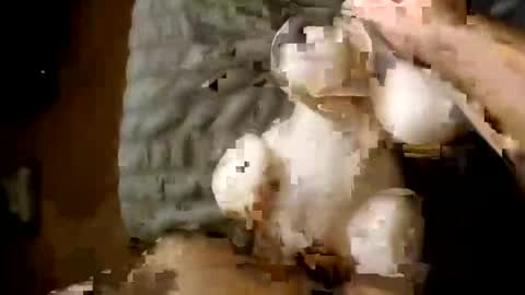 gomezxx620 online show from November 9, 4:16 am