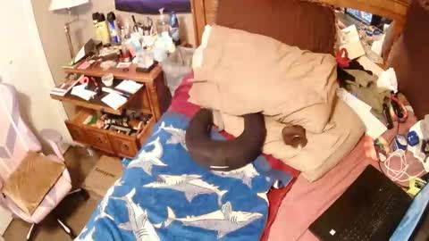 Juicy Booty online show from October 10, 8:35 pm