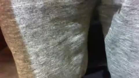 goodride169 online show from November 30, 1:35 pm