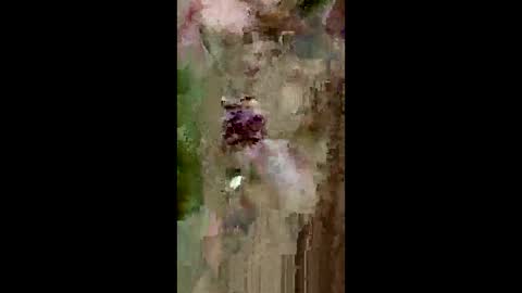 grabisz30 online show from May 11, 3:29 pm