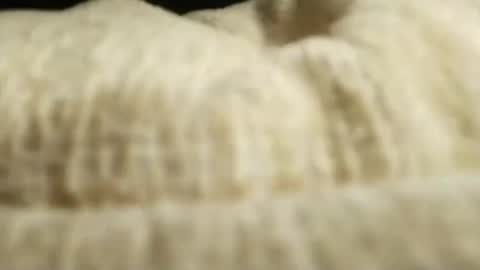 grandiosaforu online show from May 13, 10:51 pm