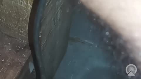 Otavio online show from March 31, 12:40 pm