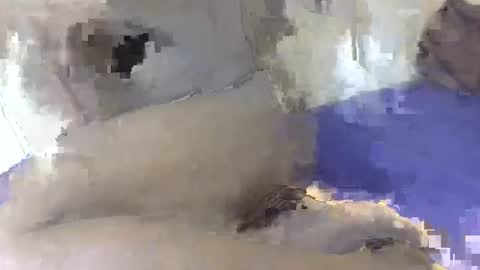 greekdico online show from December 18, 6:59 pm