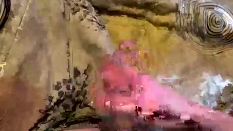 green1345 online show from December 3, 2:34 pm