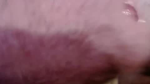 Greg online show from March 21, 8:35 pm