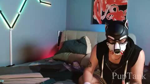 Alpha pup online show from October 11, 5:11 am