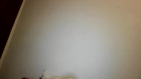 gtatsmoke online show from February 9, 5:56 am