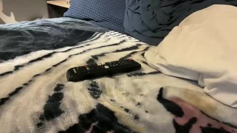 gumbywanna online show from November 3, 8:18 am