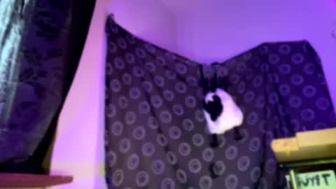 GuyST049 online show from May 5, 11:56 am