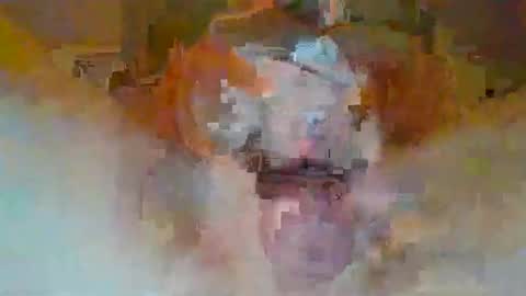 hadeno online show from February 24, 8:15 am