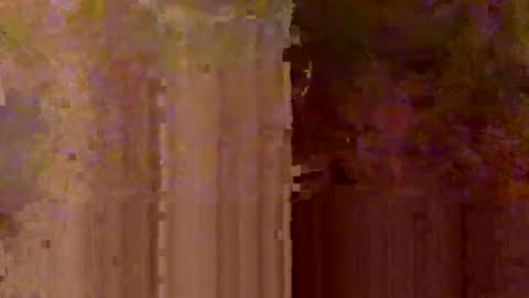 Bruce online show from May 15, 3:37 am