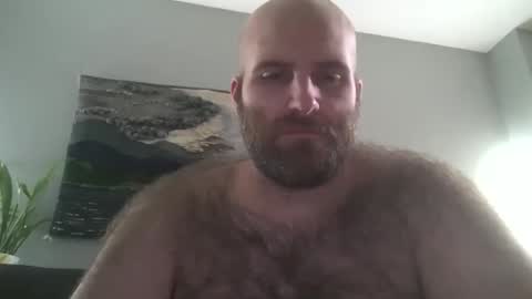 Hairiest Bear online show from February 8, 7:47 am