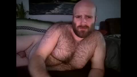 Hairiest Bear online show from April 22, 11:31 pm