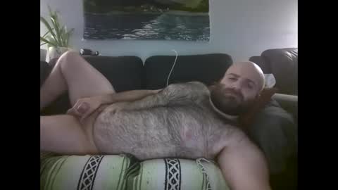Hairiest Bear online show from May 9, 9:21 am