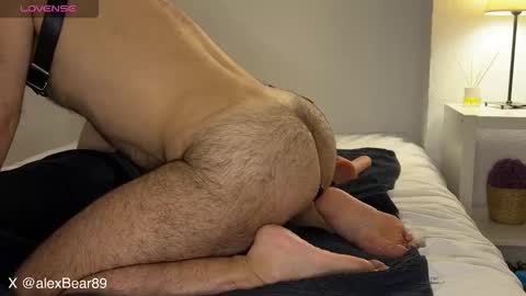 hairyarabbear online show from September 12, 4:45 am