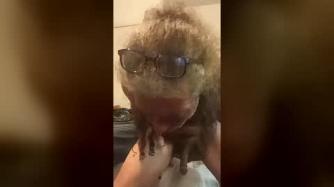hairybusheatmycreams online show from June 21, 3:34 am