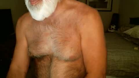 Hairy pecs online show from April 21, 7:36 am