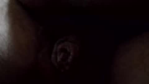 HairyPigSyd online show from February 23, 6:42 pm