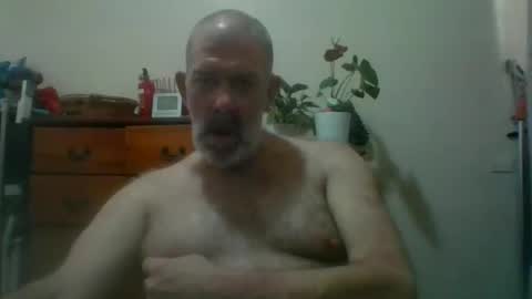 HairyPigSyd online show from November 14, 3:42 am