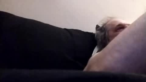 Snapshot of hairyspermballs chatting on October 28, 2:03 am Marty online show from October 28, 2:03 am