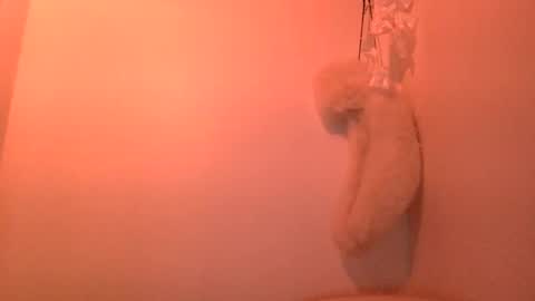 Snapshot of hairytonkas chatting on February 4, 1:45 am HairyTonkas online show from February 4, 1:45 am