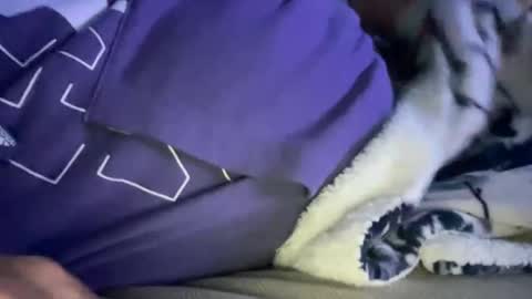 relax online show from November 10, 3:00 am