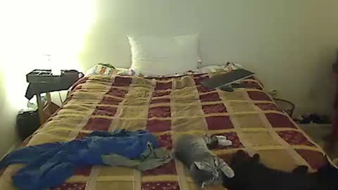 Snapshot of hammerthatthang73 chatting on October 28, 8:50 am hammerthatthang73 online show from October 28, 8:50 am