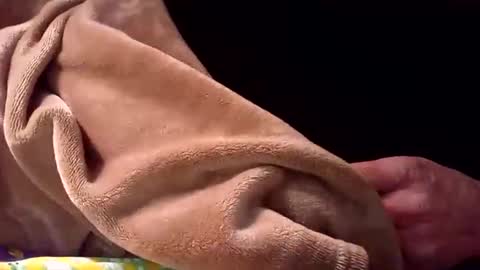 handsumload_11 online show from December 4, 6:42 am