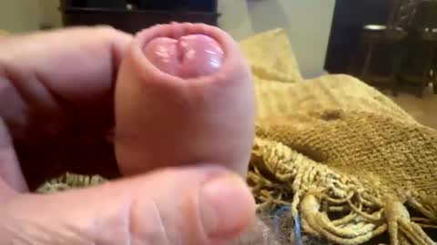 happygerman68 online show from October 5, 11:31 pm