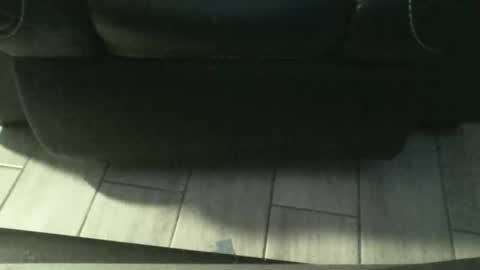 Hardcock8inches2026 online show from February 2, 12:46 pm