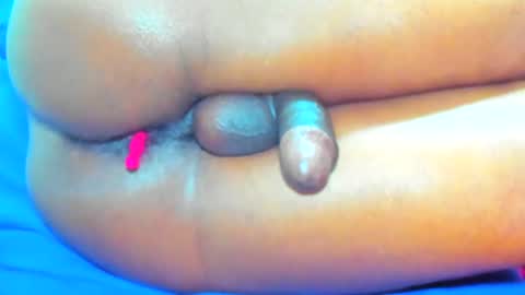 andres online show from February 28, 8:18 pm