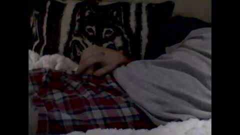 heelerman online show from November 12, 10:54 am