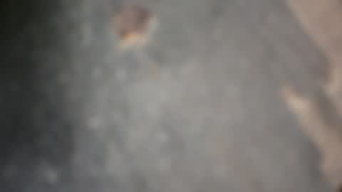 herletigre12345 online show from October 18, 5:34 am