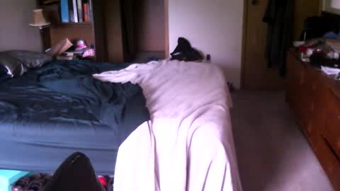 hg99too online show from April 28, 2:11 pm