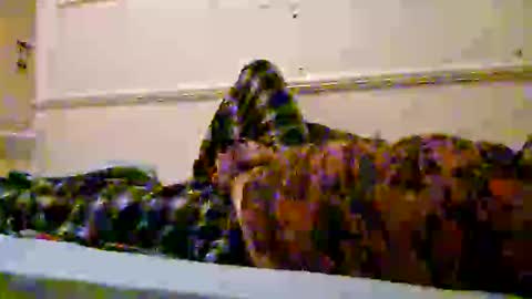 hidrocool online show from February 8, 6:52 am