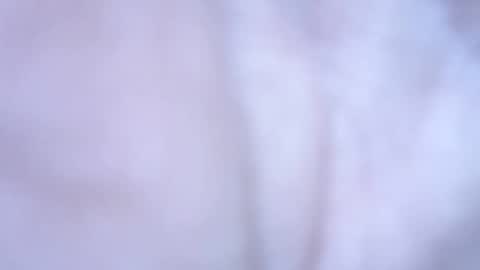 hofnung online show from April 25, 10:18 pm