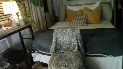 Holden Tewdix online show from February 7, 1:57 am