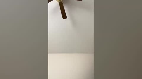 hookman461 online show from February 3, 8:03 pm