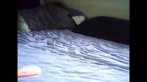 hotcockcam1 online show from February 1, 11:53 am