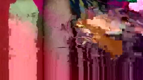 Huge dick online show from April 18, 7:18 pm