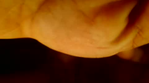 hugecocktoworship online show from February 23, 6:59 am