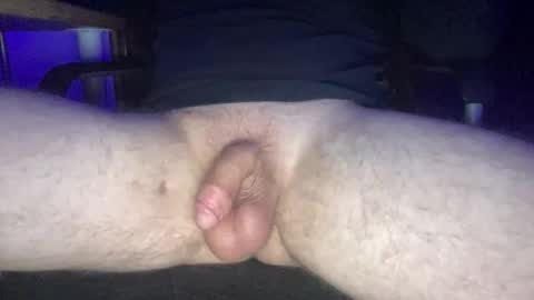 hunglikeahorsewes online show from February 7, 7:04 am