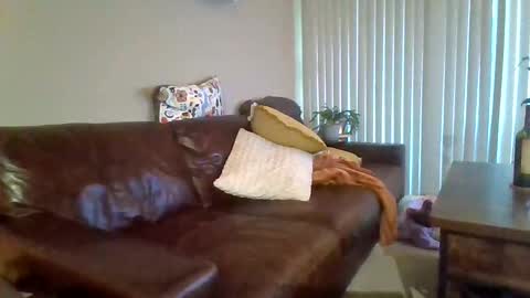 hungsilverfox69 online show from January 3, 10:51 pm