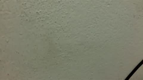 Peterr online show from February 1, 3:38 am