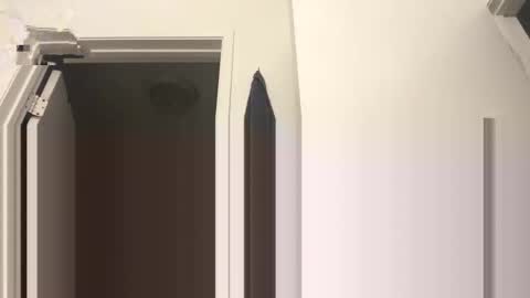 hustlemacc online show from January 12, 3:49 pm