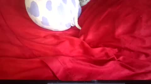 ianrobbins6 online show from April 16, 2:50 pm