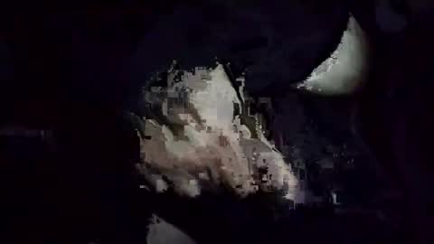 ilikewentyoubiteyoulips online show from February 25, 2:34 am