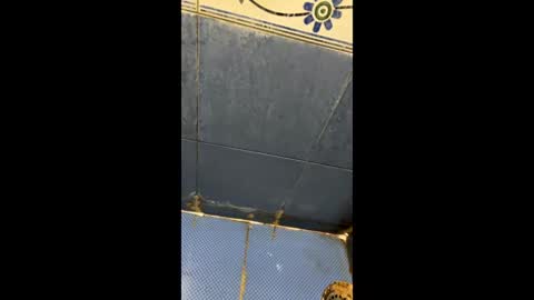 Indianboy online show from April 3, 11:18 am