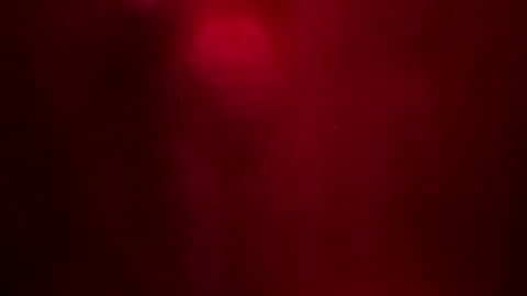 Snapshot of indigolvr chatting on January 7, 4:41 am BroLOU online show from January 7, 4:41 am