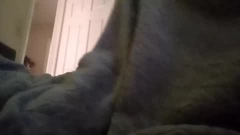 internationalwang online show from March 9, 6:54 pm